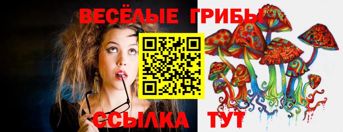 Псилоцибиновые грибы GOLDEN TEACHER Североморск